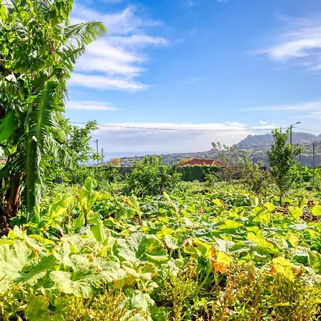 O Miminho, A In Madeira Lejlighed São Jorge