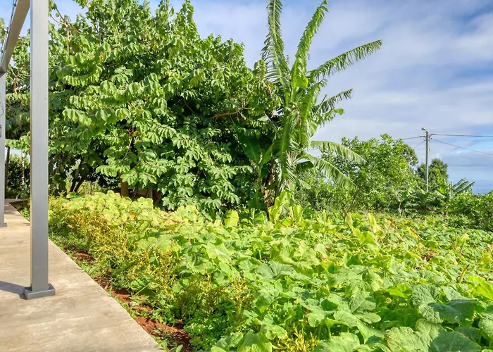 O Miminho, A In Madeira Apartament *